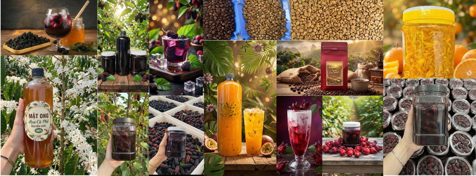 Tổng hợp đặc sản