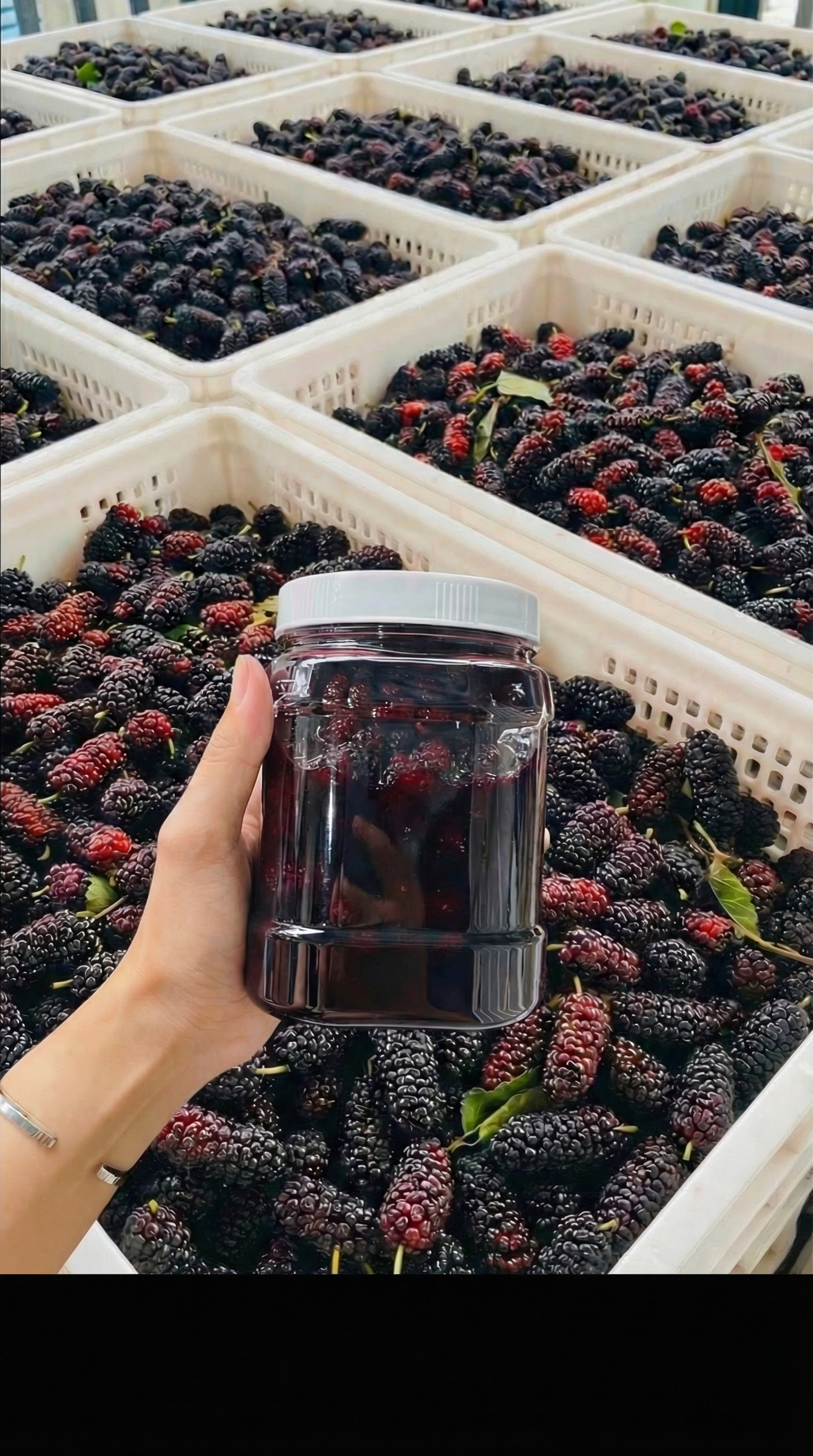 Sản phẩm