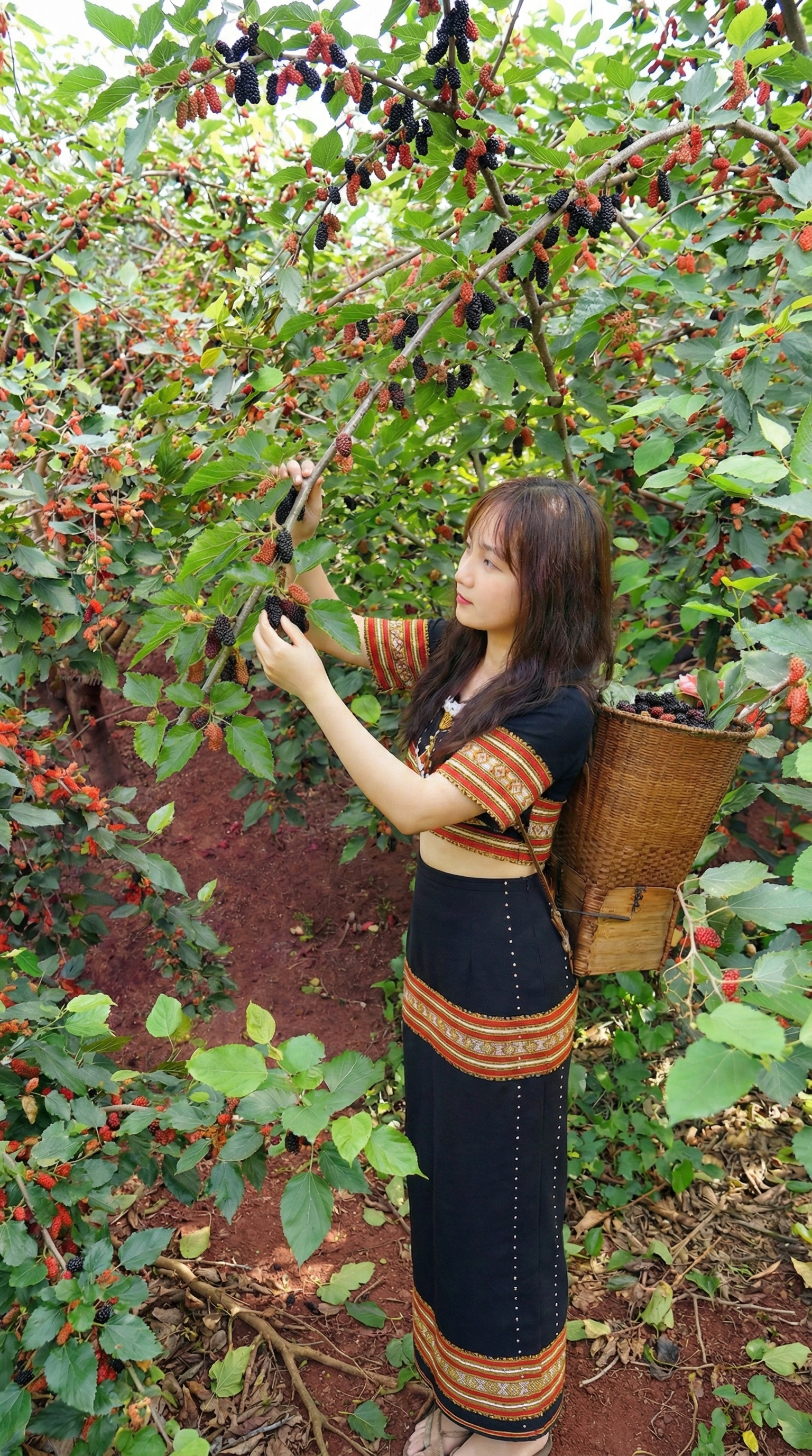 Sản phẩm